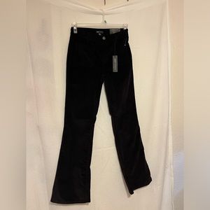 JNY high waist velour jeans (dark purple)